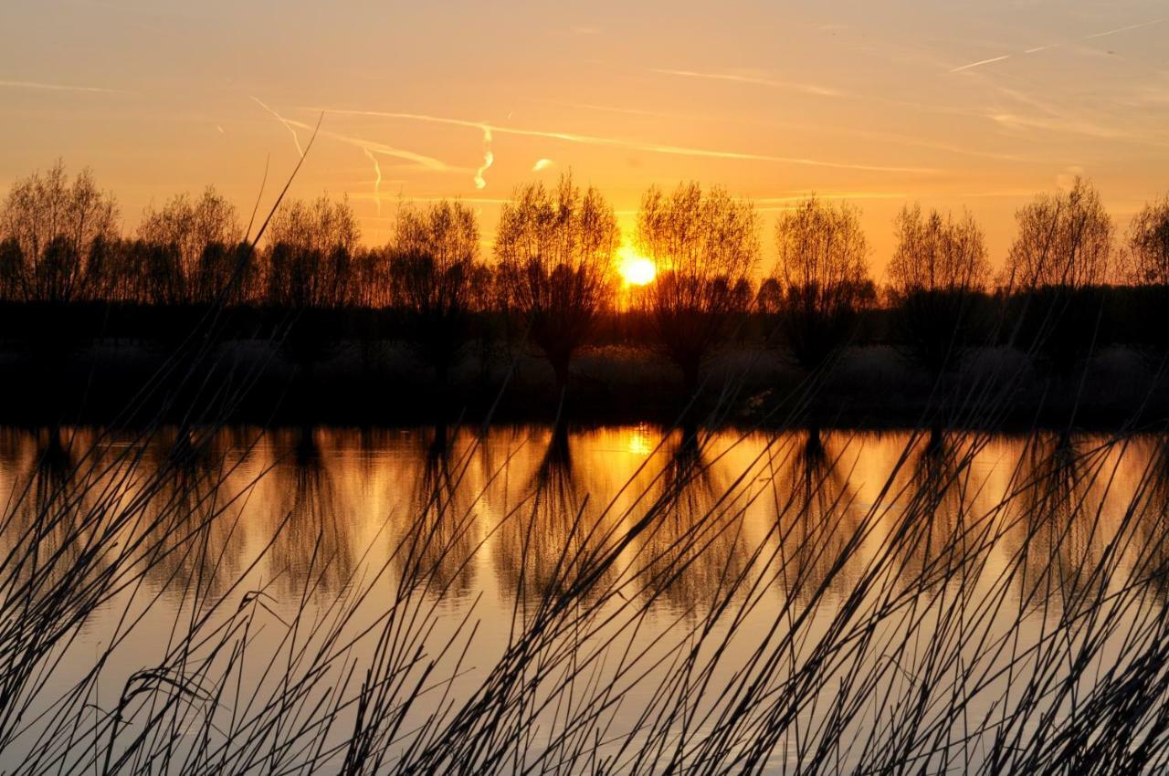 Artistiek Vakantiehuisje Hulst Exterior foto