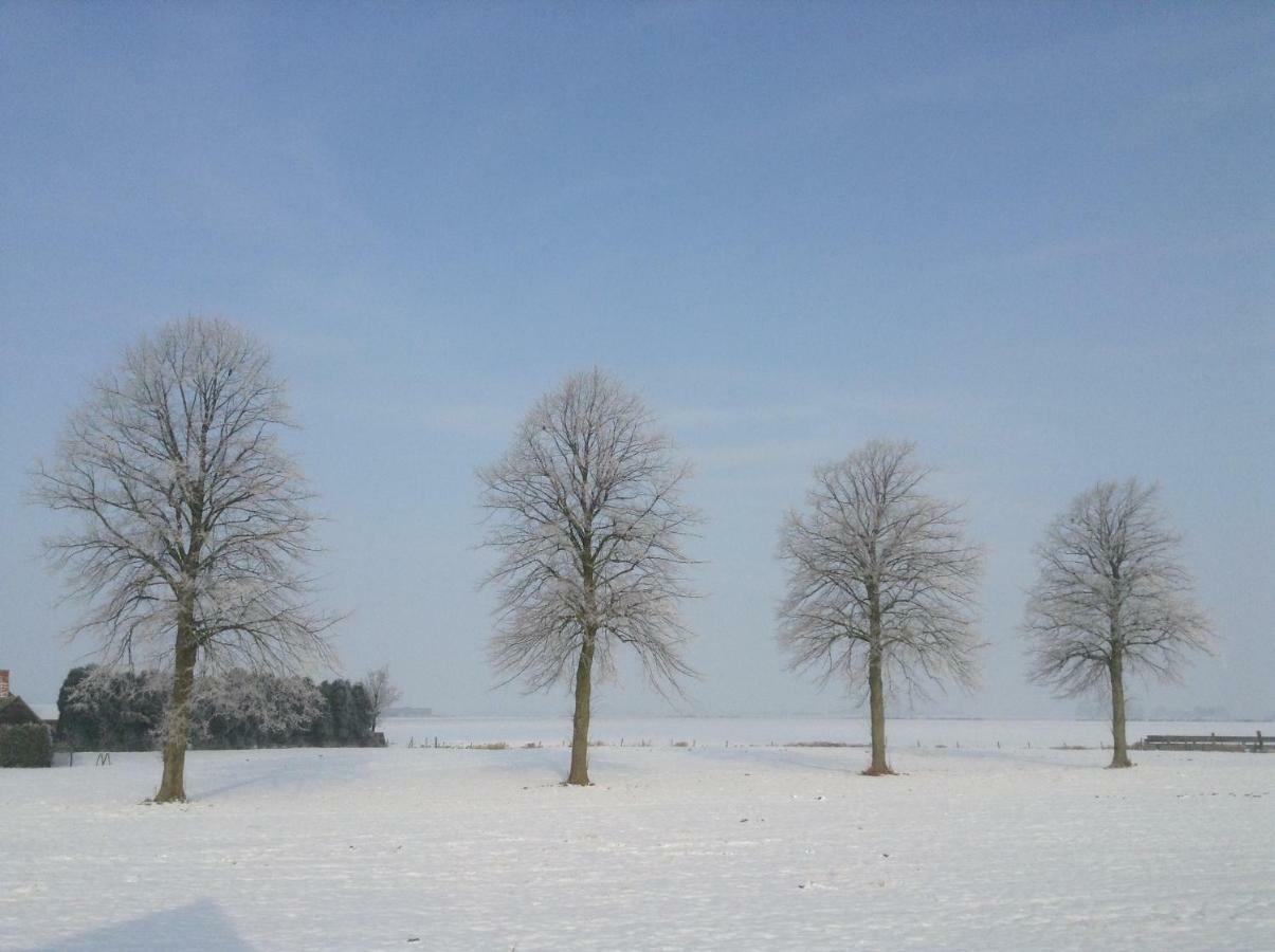 Artistiek Vakantiehuisje Hulst Exterior foto